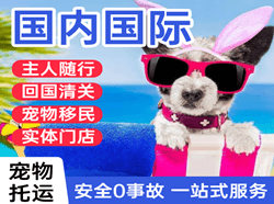 朔州航空运输国际宠物托运 【国